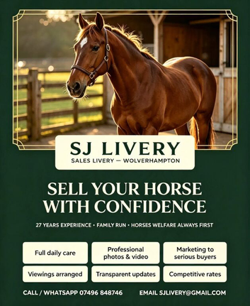 Holiday/Temporary Livery & Sales Livery