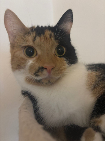 Beautiful and Loving Girl