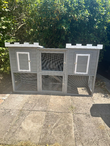 Male Lionhead rabbit and male lop rabbit and new hutch