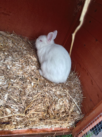 Mario is looking for a forever home!