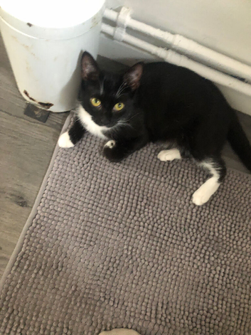 Black and female needs a home asap