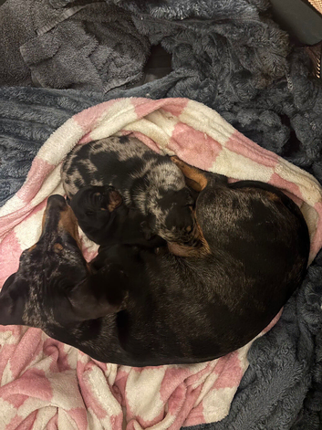 1 boy and 1 girl