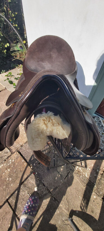 Show saddle 18" mw