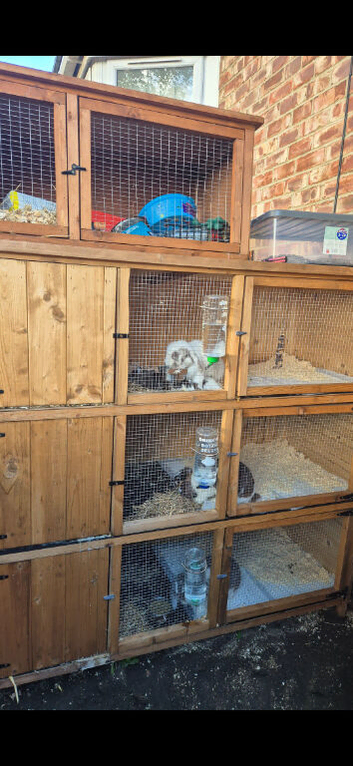 Stack 3 hutches