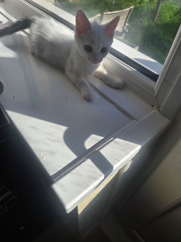 Stunning little girl