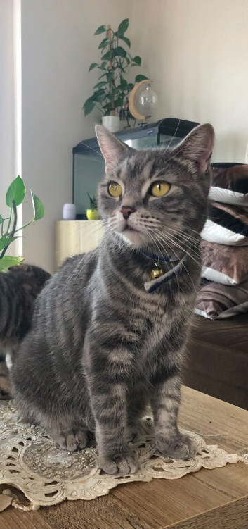 Mia is looking for a new home