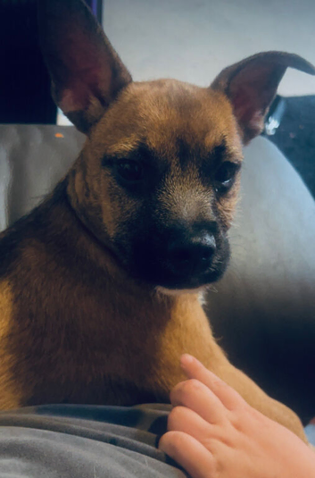 Gorgeous boy