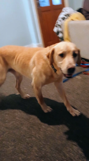 3 year old boy