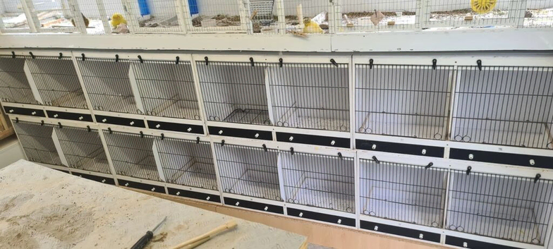 Canary, Finch Double Breeding Cage, UPVC Plastic type construction