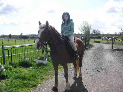 Horses Come For A  Loan  Ride