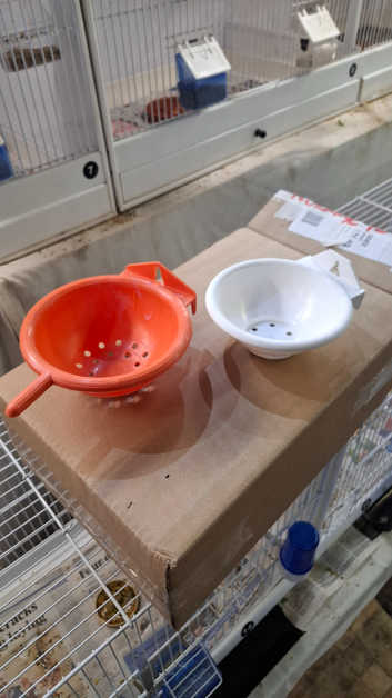 Nest pans
