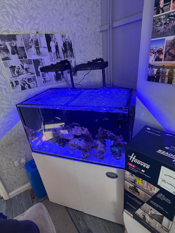 Tmc marine tank complete setup and fish.