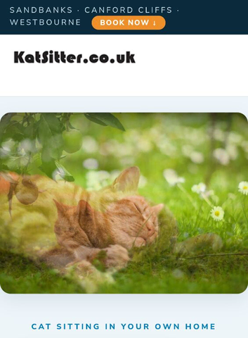 Kat sitter -  Cat Sitting Service