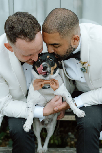Dog Chaperone - All Paws Weddings