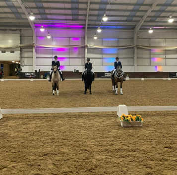Schooling or competition livery