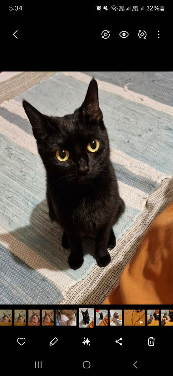 Luna looking for a new home