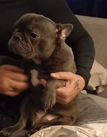 STAR : 11 month female