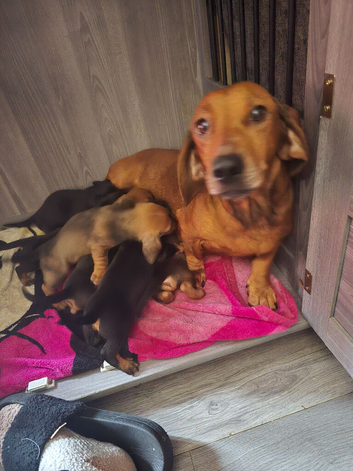 Got 2 left 1 boy 2 girls