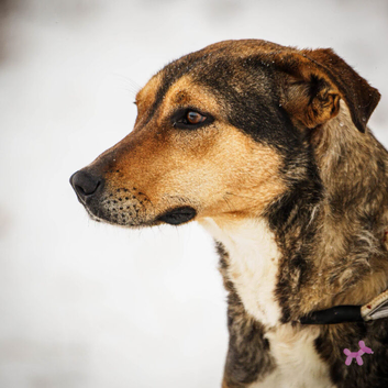 ️ FREYA &ndash; Looking for the Right Person, Not Just Any Person ️