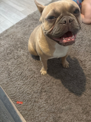 Beautiful 10month old girl