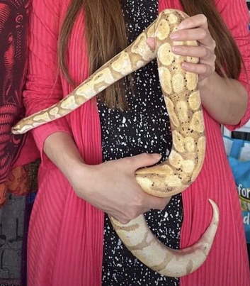 Blue eye Lucy female and banana male