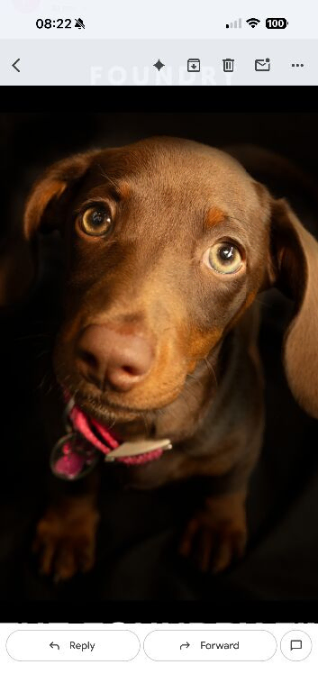 Reluctant rehoming