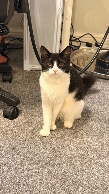 Luna