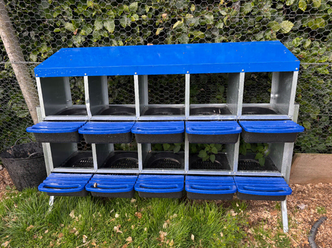 Chicken nest box for sale