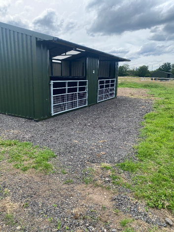 Horse paddock