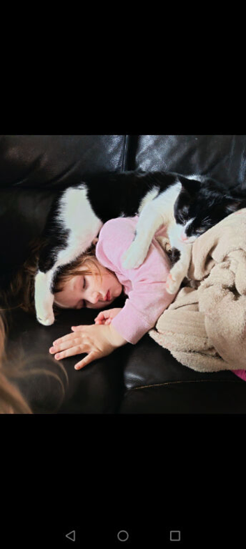 ORPHAN - White and Black kitten.