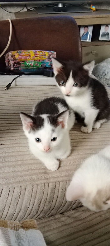 2 boys