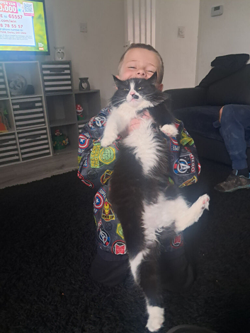 Cat black white fluffy