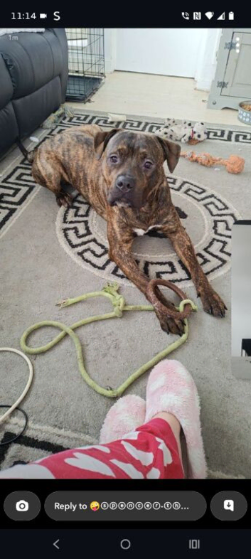 10 month old