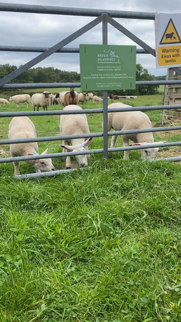 WANTED GRAZING LAND