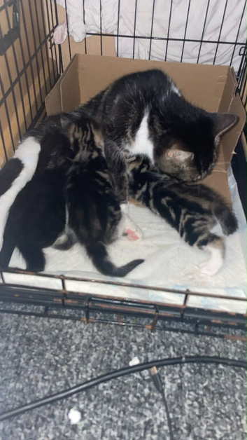 Brother and sister