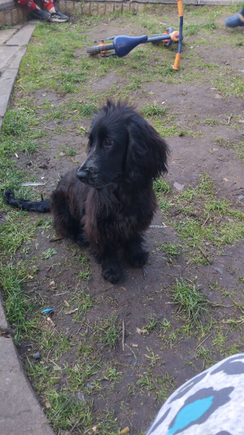 Lola