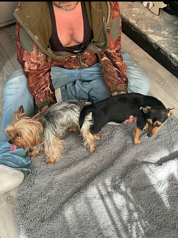Looking For There Forever Homes
