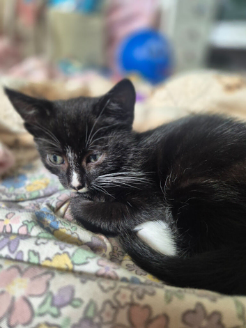 1 black and white female left