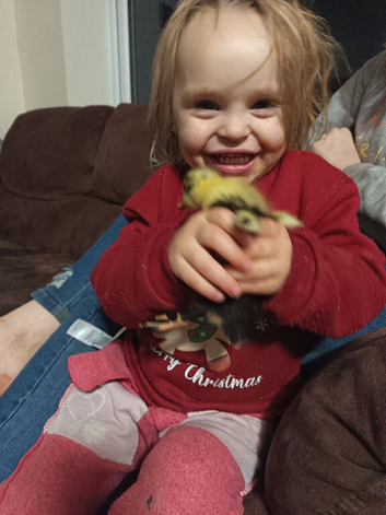 Female ducklings