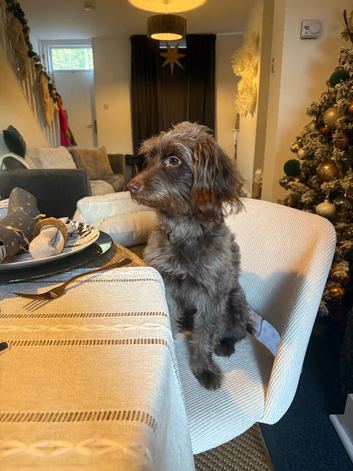 Looking for an exceptional forever home