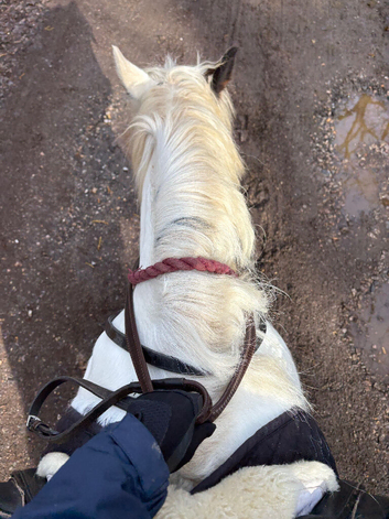 Stable hand