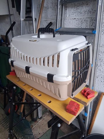 Dog or cat carrier