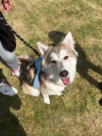 Our beautiful girl!