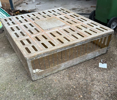 Large Pigeon transport Carrier for Sale