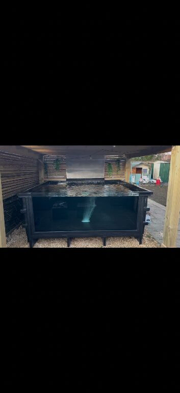 Ez pond 1000 gallon