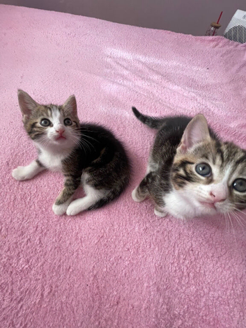 Angel and luka