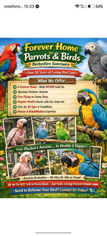 All parrots and birds welcome