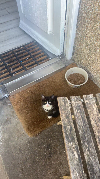 Kitty ready to leave now