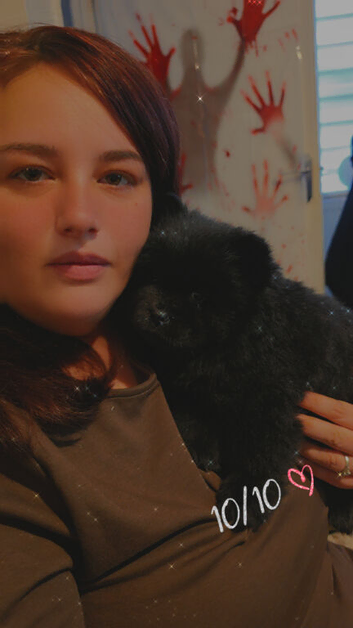 9 week old chow chow