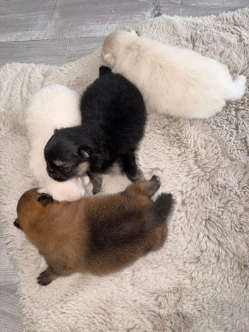 1 Girl 1 Boy Left!!